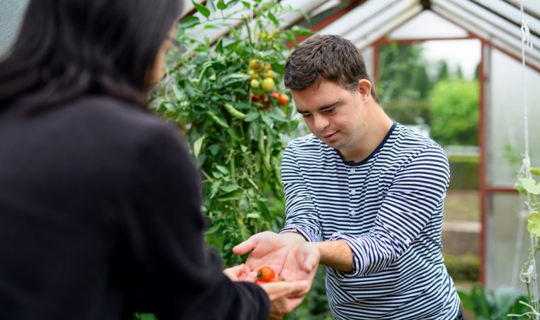 Individual picking tomatoes and asking how to treat an intellectual disability