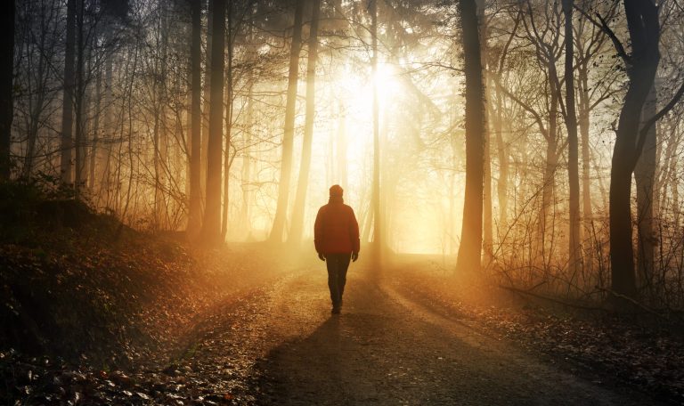 Male hiker walking into the bright gold rays of light in a misty forest, landscape shot with dramatic beautiful lighting mood