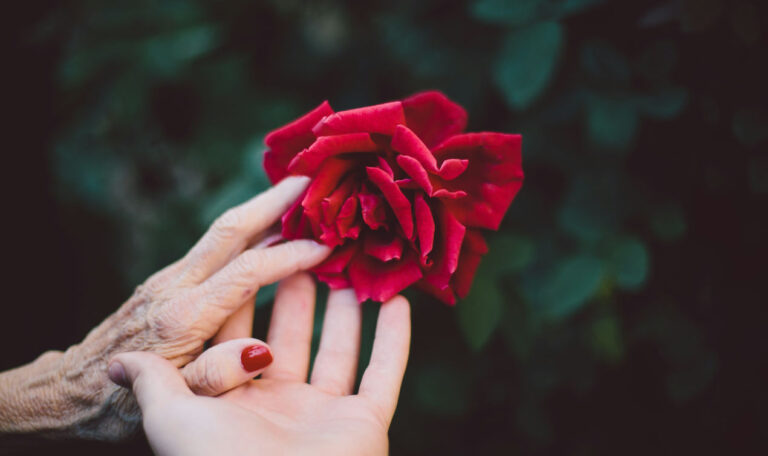 Hands of two generations gently holding a red rose, symbolizing the loss of a mother and the connection between loved ones.