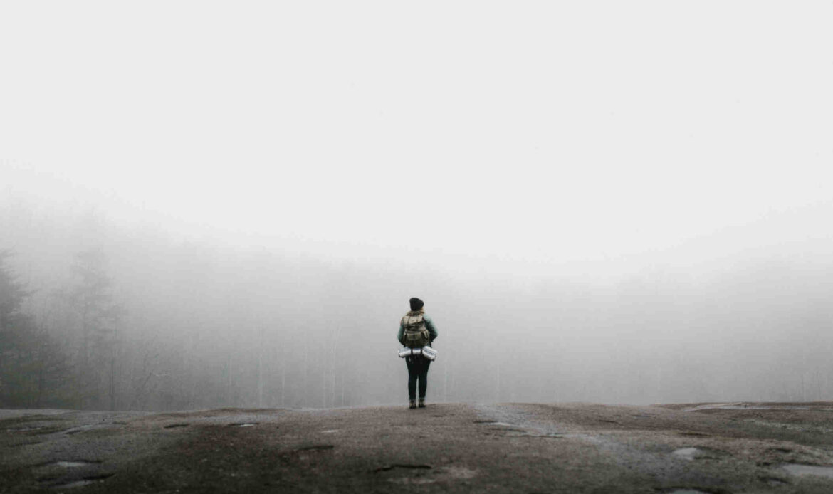 Person standing in a forest